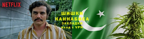 ПСИЛОЦИБИНОВЫЕ ГРИБЫ Пересвет