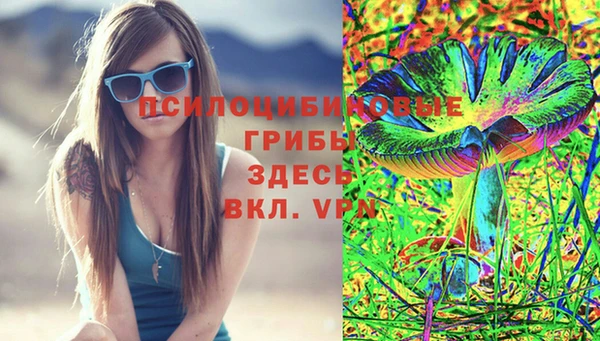 бутират Переславль-Залесский