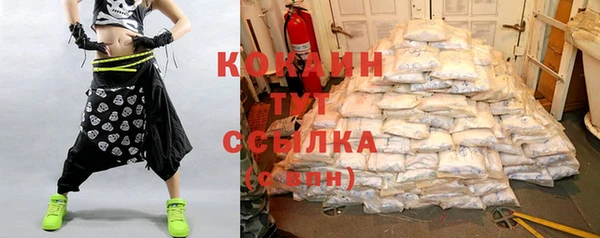 ПСИЛОЦИБИНОВЫЕ ГРИБЫ Пересвет