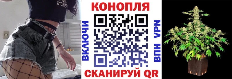 мега tor  площадка наркотические препараты  Красноармейск  Шишки марихуана конопля  купить  цена 